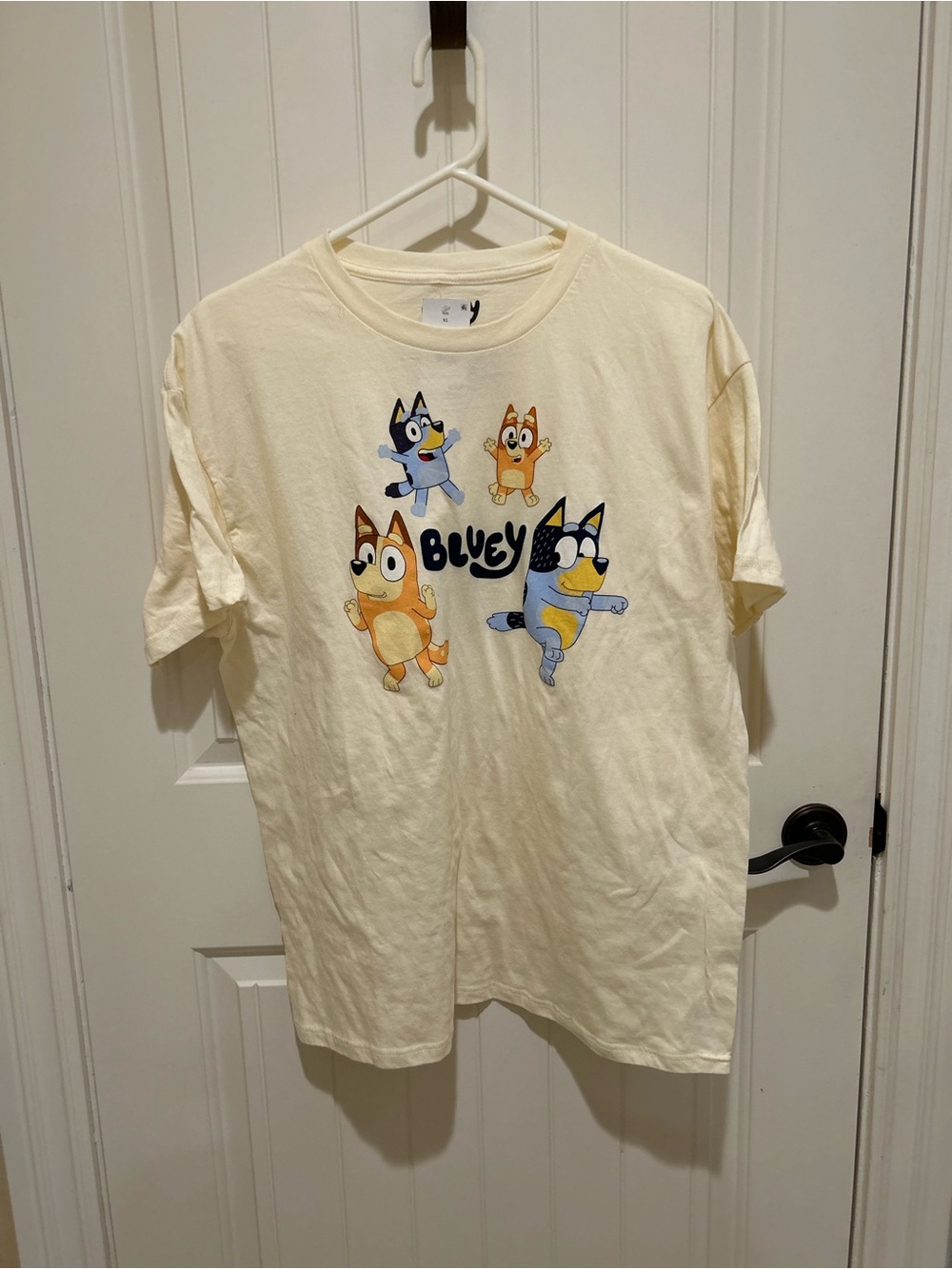 NWT: Bluey Adult T-Shirt (XL)